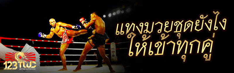 แทงมวยชุดยังไงให้เข้าทุกคู่